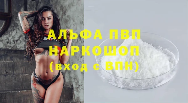 PSILOCYBIN Баксан