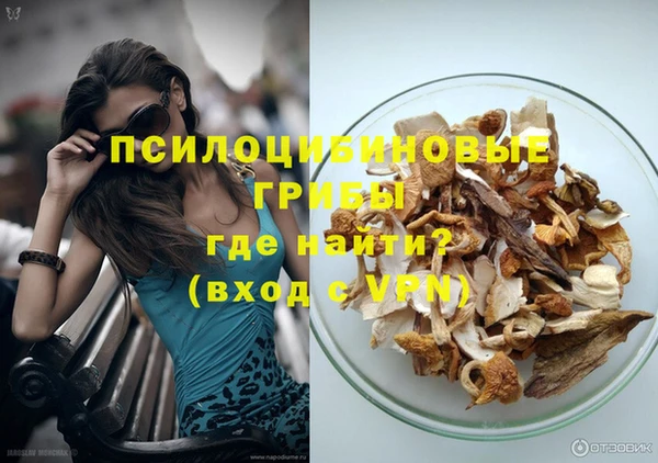 PSILOCYBIN Баксан
