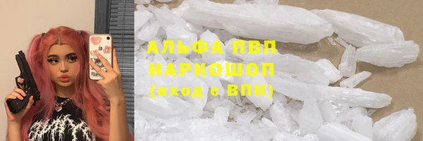 PSILOCYBIN Баксан