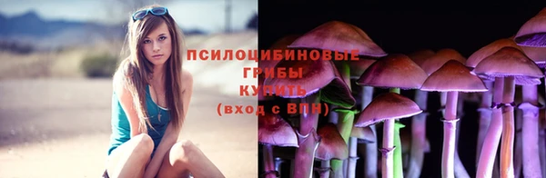 ешки Балахна