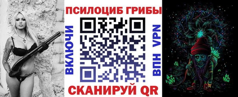 Псилоцибиновые грибы прущие грибы  Чекалин 